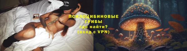 PSILOCYBIN Новокубанск