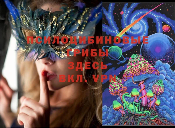 дурь Нефтегорск