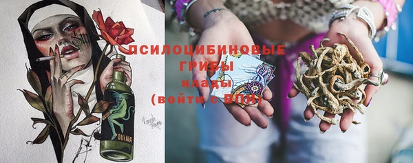 дурь Нефтегорск