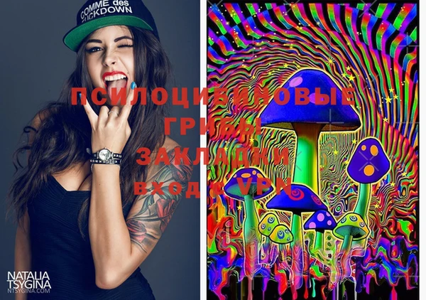 PSILOCYBIN Новокубанск