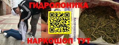 крисы Пушкино
