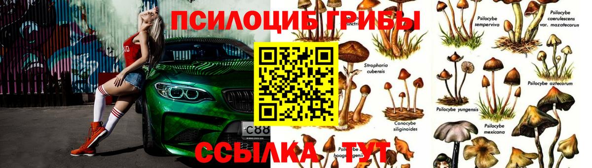 Псилоцибиновые грибы прущие грибы  Вход с VPN  Партизанск  Псилоцибиновые грибы Psilocybine cubensis 